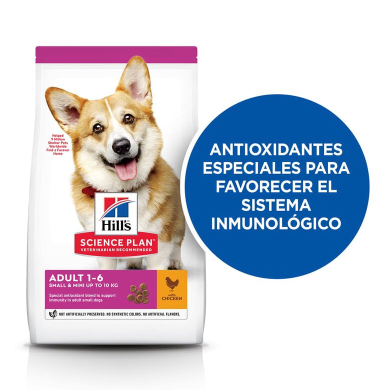 Hill's Science Plan Adult Small & Mini Pollo pienso para perros, , large image number null